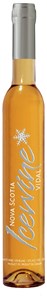 Jost Vineyards Vidal Icewine 2006